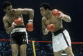 Ali-Young 83464483.jpg