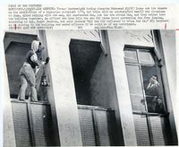 File:Ali10.jpg