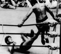 File:AliInoki3.jpeg