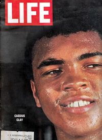 File:AliLife.jpg