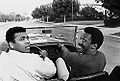 Ali & Cos.jpg
