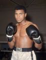 Ali 2665745.jpg
