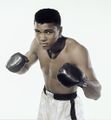 Ali 479933880.jpg