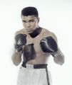 Ali 482857544.jpg