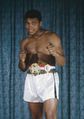 Ali Ring title 52286233.jpg