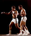 Ali shuffle 40241.jpg