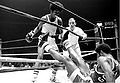 Amateur-boxer-davis-jr-.jpg