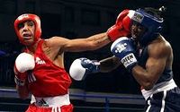 File:Amateur box off red vs blue.jpg
