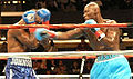 Antonio Tarver vs. Glen Johnson (1st meeting).02.jpg