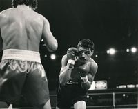 File:Arguello vs Busceme5.JPG