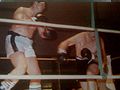 Australian Boxing.jpg