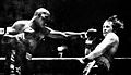 BRISCOE-Teddy-Mann-Pictured.jpg