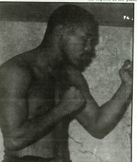 File:Baby Coullimber.jpg