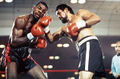Barkley-Duran RING.jpg