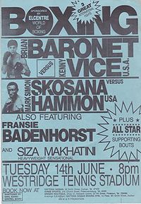 File:Baronet vice poster.jpg