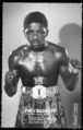 Basette.Percy2.jpg