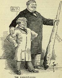 File:Bat-nelson-4.jpg