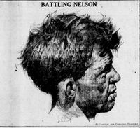 File:Bat Nelson Medford.JPG