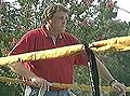 Thumbnail for version as of 03:36, 31 July 2012
