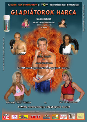 Program poster