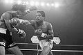 Benitez-Duran BE055953.jpg