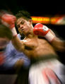 Thumbnail for version as of 06:20, 22 February 2008