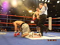 Thumbnail for version as of 04:19, 1 November 2010