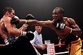 Bika Calzaghe.jpg