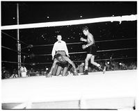 File:Billy Peacock vs Jose Toluco Lopez.jpg