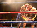 Thumbnail for version as of 01:56, 4 October 2010