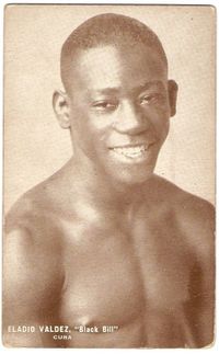 File:Black Bill PC.JPG