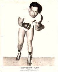 File:Bobcat Maloney.JPG