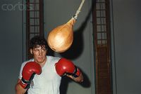 File:BobickSPEEDbag.jpg