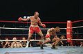 Bonecrusher-Smith-action.jpg