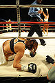 Thumbnail for version as of 23:07, 29 August 2010