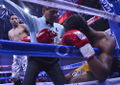 Thumbnail for version as of 09:03, 4 April 2016