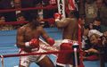 Bowe-Dokes 50729104.jpg