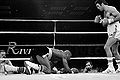 Box a hagler 600.jpg