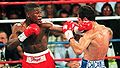 Box a mayweather-hernadez mb 288x162.jpg