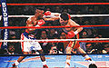 Box chavez-taylor 02.jpg