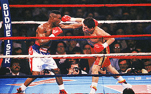 Box chavez-taylor 02.jpg