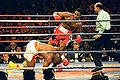 Box g lewis 300.jpg
