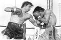 Box mancini kim 600.jpg