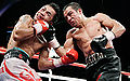 Box pacqmarq 08.jpg