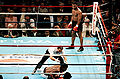 Box tyson spinks 05.jpg
