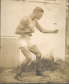 Boxer001.jpg