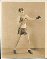 Boxer5.jpg