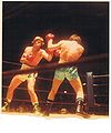 Boxer Wayne Kelly.jpg