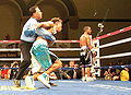 Boxer held B Esteves.jpg