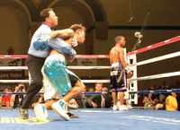 File:Boxer held B Esteves.jpg